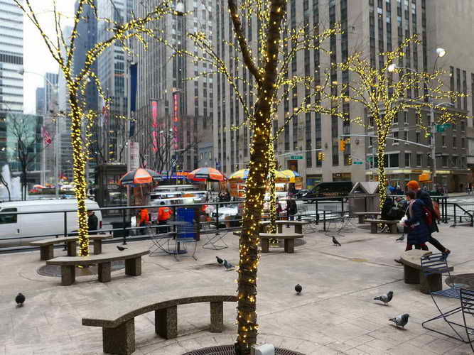 NYC_2020-02-01 14-14-51_P1090234